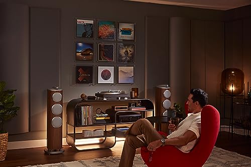 Denon DP-3000NE Fully Automatic Analog Turntable & Vinyl Record Player with Built-in Phono Equalizer | Turntables for Vinyl Records | Unique S-Shaped Tonearm Design | Hologram Vibration Analysis